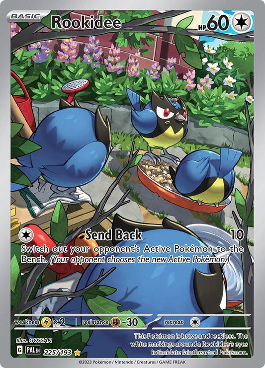 Buy Pokemon cards Australia - Rookidee 225/193 - Premium Raw Card from Monster Mart - Pokémon Card Emporium - Shop now at Monster Mart - Pokémon Cards Australia. Illustration Rare, Paldea Evolved